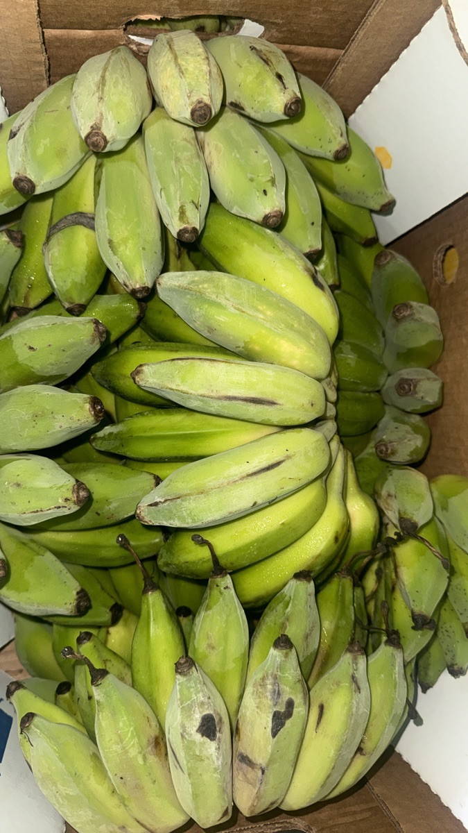 Bananas