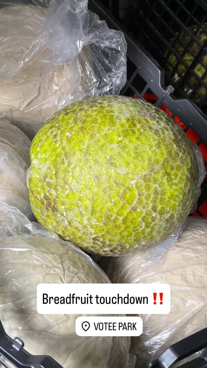 Breadfruit