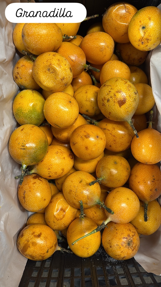 Granadilla