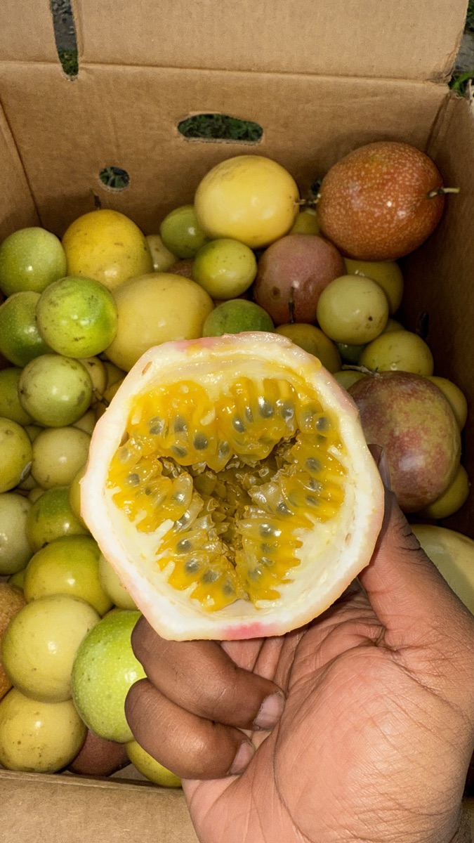 Passion Fruit