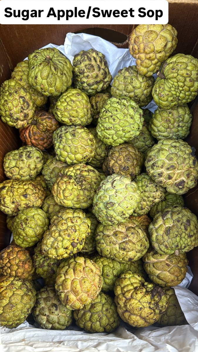 Sugar Apple (Sweetsop)